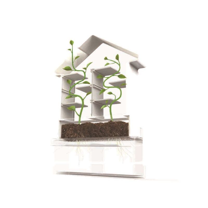 Plante labyrint