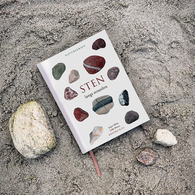 Bog: Fossiler langs stranden - Treasurehunter.dk