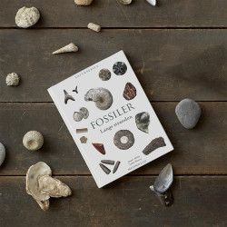 Bog: Fossiler langs stranden - Treasurehunter.dk
