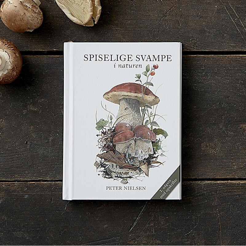 Sanke sæt - Treasurehunter.dk