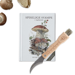 Sanke sæt - Treasurehunter.dk